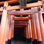 Mitamatei - 伏見稲荷 千本鳥居を登って行きます
