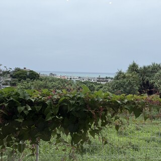 ゆくい処 笑島_1