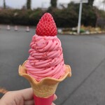 いちごBonBonBERRY 伊豆の国factory - 