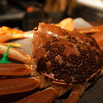 銀座 座屋 - 京丹後市 間人港 間人蟹(たいざがに) 2014.12.1x