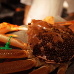 銀座 座屋 - 京丹後市 間人港 間人蟹(たいざがに) 2014.12.1x