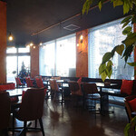Robbia - 