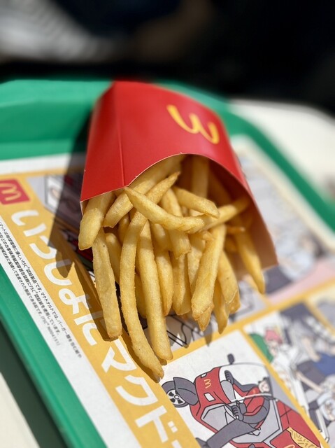 断捨離 マクドナルド フォトアルバム 赤30、黄30、茶20 断捨離