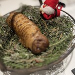 macua - 