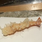 ぬま田 - 車海老　