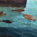 釣船茶屋ざうお - 