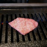 The INNOCENT CARVERY - 