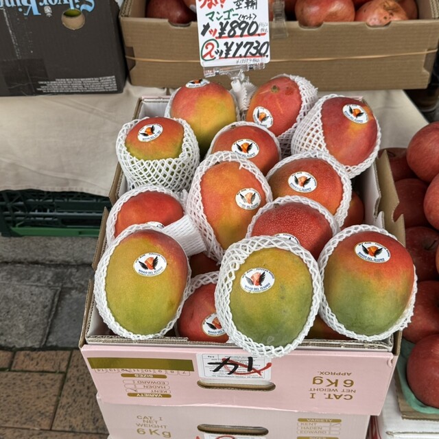 IMANOフルーツファクトリー （今野フルーツ） - 茅場町/フルーツ