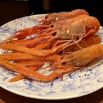 蒼 - 長井 さかな人 長谷川さんより 赤座海老