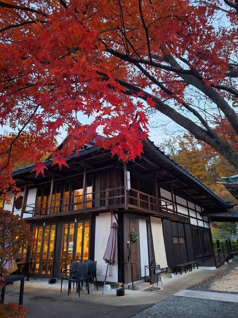 寺カフェ 樹楽里寺巣 - 金谷川（カフェ）の写真