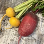 鎌倉市農協連即売所 - 