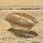 鮨　いの - 春子鯛