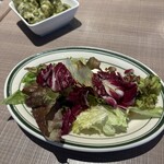 トラットリア ピッツェリア サレルノ - 