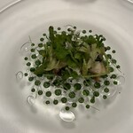 Ristorante YAMAZAKI - 