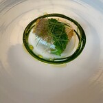 マダム・トキ - 