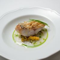 ディナーコース　Terra