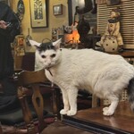 カフェ アルル - 