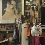 カフェ アルル - 