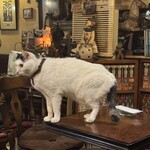 カフェ アルル - 