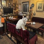 カフェ アルル - 