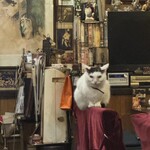 カフェ アルル - 