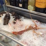 Al Pescatore - 本日の鮮魚