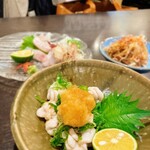 海鮮料理と酒 いくひさ - 