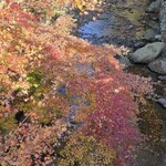 秋月温泉　料亭旅館　清流庵 - 