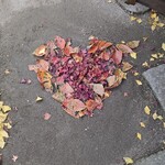 秋月温泉　料亭旅館　清流庵 - 