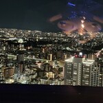 ザ・ワンアンドオンリー - 