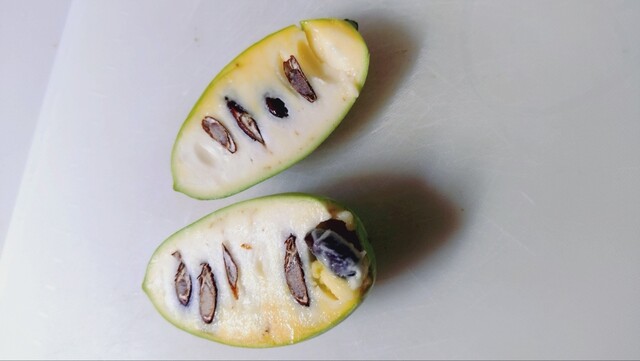 道の駅十文字 - 十文字（道の駅）の写真