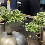 たぴおか食堂 - 森林浴
      ネギの1つ1つを眺めてると自然に視力UP、知らんけど