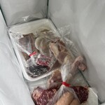 キラナガーデン豊洲 - 