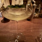 ベンフィディック - 