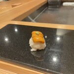 鮨と天草大王 天音 - 