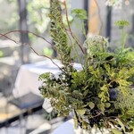 マッシモ・マリアーニ - 