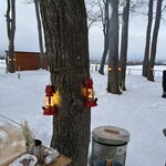 羊ヶ丘展望台 お土産品売店 - 