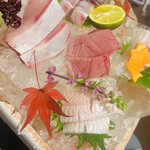 魚菜酒蔵 だいがく - 