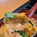 柚香菊 - 