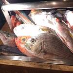 なきざかな 新宿店はなれ - 