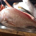 なきざかな 新宿店はなれ - 