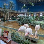 メヒコ 守谷フラミンゴ館 - 