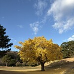 川奈ホテルゴルフコース 大島コース 売店 - 