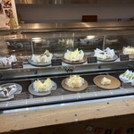 Matsumoto - ショーケース