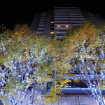 オービカ モッツァレラバー - サンルーフを開けて楽しむ