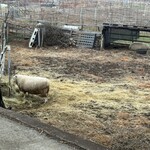 笛吹川温泉　坐忘 - 農園