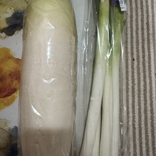 道の駅日光 日光街道 ニコニコ本陣_1