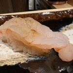札幌 すし白 - ボタンエビ
