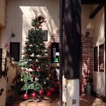 アルバトロス - 大きなクリスマスツリー