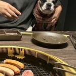 焼肉 やまかん亭 神戸三宮 - 
